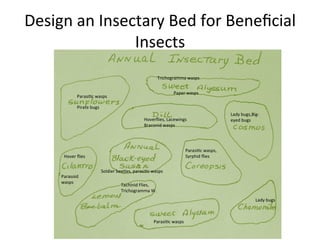 Insectary Design Beneficialwaspdf 170127195216 | PDF