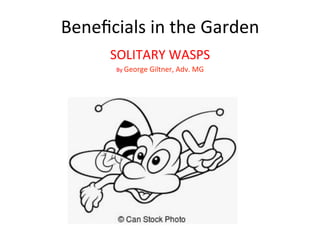 Beneﬁcials	in	the	Garden	
SOLITARY	WASPS	
By	George	Giltner,	Adv.	MG	
 