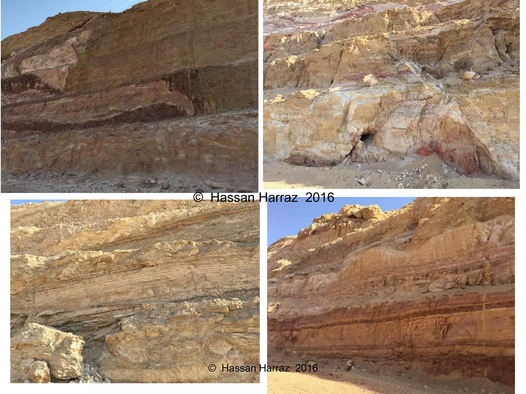 © Hassan Harraz 2016
© Hassan Harraz 2016
 