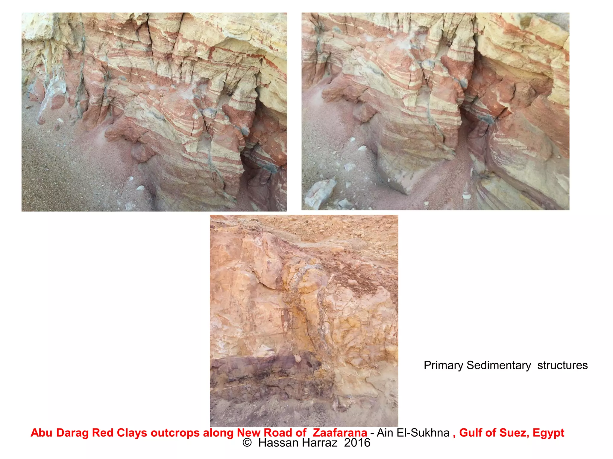 Abu Darag Red Clays outcrops along New Road of Zaafarana - Ain El-Sukhna , Gulf of Suez, Egypt
Primary Sedimentary structures
© Hassan Harraz 2016
 