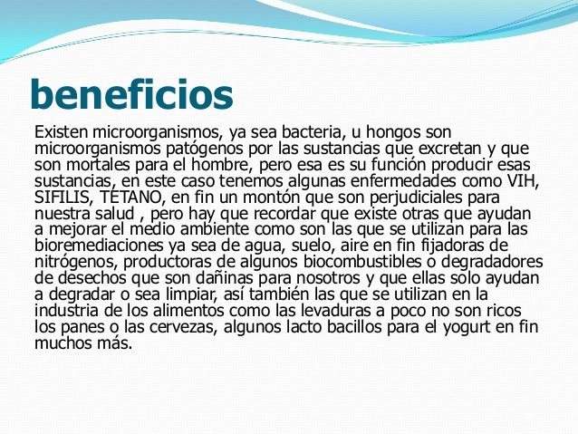 Los preparados antimicéticos el hongo de los pie el precio