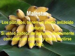 Malestar. Los plátanos, tienen un efecto antiácido natural. Si usted padece de agruras, experimente comiendo un plátano y podrá sentirse aliviado.   