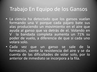 Cualidades de Correr en EquipoDisciplina: Nos ayuda a actuar ordenada, responsable y perseverantemente para conseguir las metas de equipo. Es un comportamiento humano basado en “hacer lo que se debe y no lo que se quiere”.Puntualidad: Es el respeto al tiempo de los demás y en lo que se refiere al deporte esto es un punto básico. La puntualidad nace del interés y el compromiso que despierta en nosotros la actividad.
