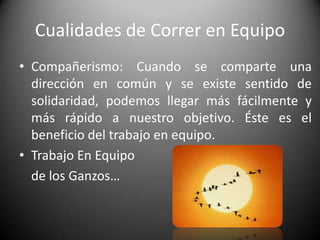 Trabajo En Equipo de los GansosLa ciencia ha detectado que los gansos vuelan formando una V porque cada pájaro bate sus alas produciendo un movimiento en el aire que ayuda al ganso que va detrás de el. Volando en V  la bandada completa aumenta un 71% su poder de vuelo, a diferencia de que si cada uno volara solo.Cada vez que un ganso se sale de la formación, siente la resistencia del aire y se da cuenta de las dificultades de volar solo, por lo anterior de inmediato se incorpora a la fila.