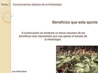 Tema 1.   Conocimientos básicos de la Herbología Beneficios que esta aporta  A continuación se mostrará un breve resumen de los beneficios mas importantes que nos aporta el estudio de la Herbología. Jose.Malfoy.Black 