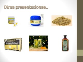 Beneficios de la manzanilla