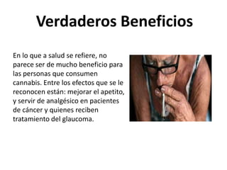 Verdaderos Beneficios
En lo que a salud se refiere, no
parece ser de mucho beneficio para
las personas que consumen
cannabis. Entre los efectos que se le
reconocen están: mejorar el apetito,
y servir de analgésico en pacientes
de cáncer y quienes reciben
tratamiento del glaucoma.
 