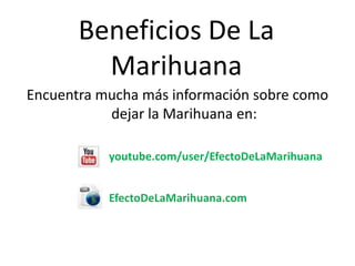 Beneficios De La
Marihuana
Encuentra mucha más información sobre como
dejar la Marihuana en:
youtube.com/user/EfectoDeLaMarihuana
EfectoDeLaMarihuana.com
 