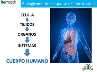 CELULA
Biológicamente en que se resume la vida?
TEJIDOS
SISTEMAS
ORGANOS
CUERPO HUMANO
 