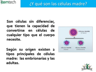 Son células sin diferenciar,
que tienen la capacidad de
convertirse en células de
cualquier tipo que el cuerpo
necesite.
¿Y qué son las células madre?
Según su origen existen 2
tipos principales de células
madre: las embrionarias y las
adultas.
 
