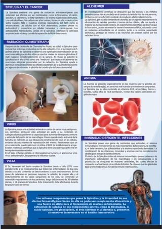 SPIRULINA Y EL CANCER                                                                  ALZHEIMER

La Spirulina contiene una gama de sustancias anti-cancerígenas que                   En investigaciones científicas se descubrió que las toxinas y los metales
potencian sus efectos por ser combinados, como la ficocianina, el calcio-            pesados que se han acumulado en el cerebro durante la vida de una persona,
spirulan, la clorofila-a, el beta-caroteno y la enzima superóxido dismutasa.         inhiben su correcta función cerebral y la conducen a la temida demencia.
Los radicales libres, las radiaciones y las toxinas, tienen un efecto destructivo    La Spirulina, por su alto contenido en clorofila, es un agente importante en la
sobre nuestro ADN y nuestras enzimas reparadoras del ADN como la                     eliminación de metales pesados y toxinas de las células, ella nos ayuda a
endonuclease. Las células con el ADN deteriorado, pueden perder su                   mejorar las funciones del cerebro. En experimentos científicos se observó que
autocontrol y convertirse en células tumorales o cancerígenas. Los                   la ficocianina, puede atravesar la barrera hematoencefálica, actuando como
polisacáridos hidrosolubles, únicos en la Spirulina, estimulan la actividad          un poderoso antioxidante en el cerebro, junto a la enzima superóxido
enzimática del núcleo y con ello la reparación del ADN deteriorado.                  dismutasa, protege así mismo a las neuronas de posibles daños por los
                                                                                     radicales libres.


 RADIACION, QUIMIOTERAPIA
Después de la catástrofe de Chernobyl en Rusia, se utilizó la Spirulina para
mejorar los síntomas producidos por la alta radiación. Con el suministro de 5
gramos diarios de Spirulina se observó una significativa normalización de las
reacciones alérgicas en los niños ya que los niveles de inmuno-globulinas E
(IgE) bajaron considerablemente en la sangre. En Rusia se patentó la
Spirulina en el año 1995 como una “medicina” que reduce eficazmente las
reacciones alérgicas provocadas por la radiación. La Spirulina ayuda a
disminuir considerablemente los efectos colaterales de la quimioterapia como
por ejemplo las náuseas, la pérdida del cabello y la deficiente inmunidad




                                                                                    ANEMIA
                                                                                    La Anemia se presenta especialmente en las mujeres (por la pérdida de
                                                                                    sangre durante la regla), en personas mal nutridas y en enfermos sangrantes.
                                                                                    La Spirulina por su alto contenido en vitamina B12, ácido fólico, hierro y
                                                                                    clorofila, todos ellos de fácil asimilación, nivelan los valores deficientes en
                                                                                    glóbulos rojos.




 VIRUS
La Spirulina posee una actividad antiviral en contra de varios virus patógenos.
Los científicos atribuyen esta actividad en parte a su contenido en
sulfoglucolípidos que tienen la capacidad para aumentar la respuesta inmune
y estimular la función de los macrófagos. Parece que el efecto anti-viral de la     INMUNIDAD DEFICIENTE, INFECCIONES
Spirulina es indirecto, ya que bloquea la penetración del virus en las células,
evitando de esta manera la reproducción del mismo. Recordemos que un                 La Spirulina posee una gama de nutrientes que estimulan el sistema
virus solamente puede sobrevivir si utiliza el ADN de la célula que le acoge.        inmunológico; mencionemos los más importantes: la ficocianina, la clorofila-
Existen evidencias científicas que la Spirulina tiene una actividad anti-viral en    a, el beta-caroteno, los polisacáridos y la enzima superóxido dismutasa. La
las siguientes enfermedades:                                                         combinación de las vitaminas, minerales y enzimas son los complementos
En el Sida, el herpes simple, el citomegalovirus humano, el adenovirus y los         ideales para activar el sistema inmune.
virus: del sarampión, las paperas y la influenza o gripe.                            El efecto de la Spirulina sobre el sistema inmunológico parece deberse a la
                                                                                     importante estimulación de los macrófagos y en consecuencia a la
 VISTA                                                                               producción de citoquinas en mayores cantidades, las cuales afectan la
                                                                                     respuesta o activación de otras células linfoides. Se observó que las glándulas
El Dr. Yamazaki del Japón emplea la Spirulina desde el año 1976 como                 bazo y timo mejoran sus funciones inmuno-estimulantes.
complemento a los medicamentos que tratan las enfermedades de los ojos,
debido a su alto contenido de beta-caroteno y otros anti-oxidantes. En los
casos de cataratas en personas mayores, la retinitis, la presión alta y el
endurecimiento de los vasos sanguíneos de los ojos, se comprobó un
ostensible mejoramiento de los pacientes, luego del consumo de 30 tabletas
diarias, o 12 gramos de Spirulina. Este tratamiento debe efectuarse durante
largos periodos de tiempo




                                 Los valiosos componentes que posee la Spirulina y la diversidad de sus
                             efectos farmacológicos, hacen de ella un poderoso complemento alimenticio y
                                  una fuente de alivio para el tratamiento de muchas enfermedades. La
                               extracción de algunos de sus componentes activos, como la ficocianina, el
                               calcio-spirulan, los glucolípidos, el beta-caroteno y la clorofila-a, prometen
                                           alternativas interesantes en el ámbito farmacéutico.
 