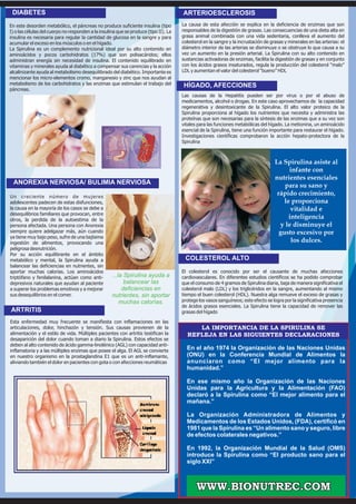 DIABETES                                                                             ARTERIOESCLEROSIS
En este desorden metabólico, el páncreas no produce suficiente insulina (tipo         La causa de esta afección se explica en la deficiencia de enzimas que son
I) o las células del cuerpo no responden a la insulina que se produce (tipo II). La   responsables de la digestión de grasas. Las consecuencias de una dieta alta en
insulina es necesaria para regular la cantidad de glucosa en la sangre y para         grasa animal combinada con una vida sedentaria, conlleva el aumento del
acumular el exceso en los músculos o en el hígado.                                    colesterol en la sangre y la incrustación de grasas y minerales en las arterias: el
La Spirulina es un complemento nutricional ideal por su alto contenido en             diámetro interior de las arterias se disminuye o se obstruye lo que causa a su
aminoácidos y pocos carbohidratos (17%) que son polisacáridos; ellos                  vez un aumento en la presión arterial. La Spirulina con su alto contenido en
administran energía sin necesidad de insulina. El contenido equilibrado en            sustancias activadoras de enzimas, facilita la digestión de grasas y en conjunto
vitaminas y minerales ayuda al diabético a compensar sus carencias y la acción        con los ácidos grasos insaturados, regula la producción del colesterol “malo”
alcalinizante ayuda al metabolismo desequilibrado del diabético. Importante es        LDL y aumentan el valor del colesterol “bueno” HDL
mencionar los micro-elementos cromo, manganesio y zinc que nos ayudan al
metabolismo de los carbohidratos y las enzimas que estimulan el trabajo del           HÍGADO, AFECCIONES
páncreas.
                                                                                      Las causas de la Hepatitis pueden ser por virus o por el abuso de
                                                                                      medicamentos, alcohol o drogas. En este caso aprovechamos de la capacidad
                                                                                      regenerativa y desintoxicante de la Spirulina. El alto valor proteico de la
                                                                                      Spirulina proporciona al hígado los nutrientes que necesita y administra las
                                                                                      proteínas que son necesarias para la síntesis de las enzimas que a su vez son
                                                                                      vitales para las funciones metabólicas del hígado. La metionina, un aminoácido
                                                                                      esencial de la Spirulina, tiene una función importante para restaurar el hígado.
                                                                                      Investigaciones científicas comprobaron la acción hepato-protectora de la
                                                                                      Spirulina



                                                                                                                                     La Spirulina asiste al
                                                                                                                                           infante con
                                                                                                                                     nutrientes esenciales
 ANOREXIA NERVIOSA/ BULIMIA NERVIOSA                                                                                                     para su sano y
U n c re c i e n t e n ú m e ro d e m u j e re s
                                                                                                                                      rápido crecimiento,
adolescentes padecen de estas disfunciones,                                                                                              le proporciona
la causa en la mayoría de los casos se debe a                                                                                               vitalidad e
desequilibrios familiares que provocan, entre
otros, la perdida de la autoestima de la
                                                                                                                                           inteligencia
persona afectada. Una persona con Anorexia                                                                                             y le disminuye el
siempre quiere adelgazar más, aún cuando                                                                                               gusto excesivo por
ya tiene muy bajo peso, sufre de una bajísima
ingestión de alimentos, provocando una                                                                                                      los dulces.
peligrosa desnutrición.
Por su acción equilibrante en el ámbito
metabólico y mental, la Spirulina ayuda a                                              COLESTEROL ALTO
balancear las deficiencias en nutrientes, sin
aportar muchas calorías. Los aminoácidos                                              El colesterol es conocido por ser el causante de muchas afecciones
triptófano y fenilalanina, actúan como anti-        ...la Spirulina ayuda a           cardiovasculares. En diferentes estudios científicos se ha podido comprobar
depresivos naturales que ayudan al paciente               balancear las               que el consumo de 4 gramos de Spirulina diaria, baja de manera significativa el
a superar los problemas emotivos y a mejorar             deficiencias en              colesterol malo (LDL) y los triglicéridos en la sangre, aumentando al mismo
sus desequilibrios en el comer.                     nutrientes, sin aportar           tiempo el buen colesterol (HDL). Nuestra alga remueve el exceso de grasas y
                                                        muchas calorías.              protege los vasos sanguíneos; este efecto se logra por la significativa presencia
                                                                                      de ácidos grasos esenciales. La Spirulina tiene la capacidad de remover las
ARTRITIS                                                                              grasas del hígado

Esta enfermedad muy frecuente se manifiesta con inflamaciones en las
articulaciones, dolor, hinchazón y tensión. Sus causas provienen de la                     LA IMPORTANCIA DE LA SPIRULINA SE
alimentación y el estilo de vida. Múltiples pacientes con artritis testifican la        REFLEJA EN LAS SIGUIENTES DECLARACIONES
desaparición del dolor cuando toman a diario la Spirulina. Estos efectos se
deben al alto contenido de ácido gamma-linolénico (AGL) con capacidad anti-
inflamatoria y a las múltiples enzimas que posee el alga. El AGL se convierte
                                                                                        En el año 1974 la Organización de las Naciones Unidas
en nuestro organismo en la prostaglandina E1 que es un anti-inflamante,                 (ONU) en la Conferencia Mundial de Alimentos la
aliviando también el dolor en pacientes con gota o con afecciones reumáticas            anunciaron como “El mejor alimento para la
                                                                                        humanidad.”

                                                                                        En ese mismo año la Organización de las Naciones
                                                                                        Unidas para la Agricultura y la Alimentación (FAO)
                                                                                        declaró a la Spirulina como “El mejor alimento para el
                                                                                        mañana.”

                                                                                        La Organización Administradora de Alimentos y
                                                                                        Medicamentos de los Estados Unidos, (FDA), certificó en
                                                                                        1981 que la Spirulina es “Un alimento sano y seguro, libre
                                                                                        de efectos colaterales negativos.”

                                                                                        En 1992, la Organización Mundial de la Salud (OMS)
                                                                                        introduce la Spirulina como “El producto sano para el
                                                                                        siglo XXI”



                                                                                             WWW.BIONUTREC.COM
 