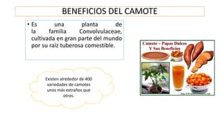 BENEFICIOS DEL CAMOTE
• Es una planta de
la familia Convolvulaceae,
cultivada en gran parte del mundo
por su raíz tuberosa comestible.
Existen alrededor de 400
variedades de camotes
unos más extraños que
otros.
 