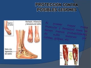 PROTECCIÓN CONTRA POSIBLES LESIONESAl poseer mayor masa muscular y densidad ósea se tienen menos probabilidades de sufrir lesiones por caídas, golpes, etc.
