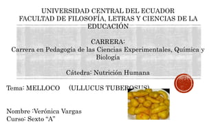 Beneficios del melloco | PPTX