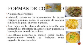 Beneficios del melloco | PPTX
