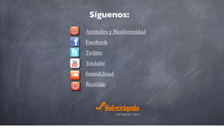 Síguenos:
Animales y Biodiversidad
Facebook
Twitter
Youtube
Soundcloud
Reciclaje
COPYRIGHT © 2017
 