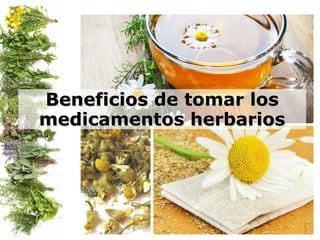 Beneficios de tomar losBeneficios de tomar los
medicamentos herbariosmedicamentos herbarios
 