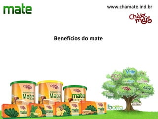 www.chamate.ind.br




Benefícios do mate
 