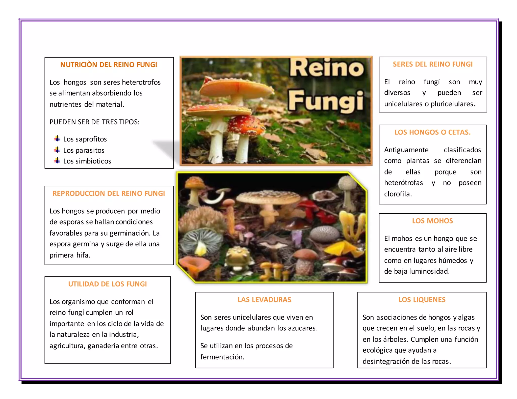 Beneficios y perjuicios en los hongos | DOCX