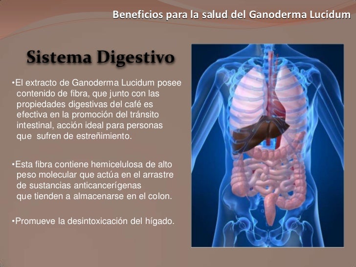 Beneficios para la salud del Ganoderma Lucidum