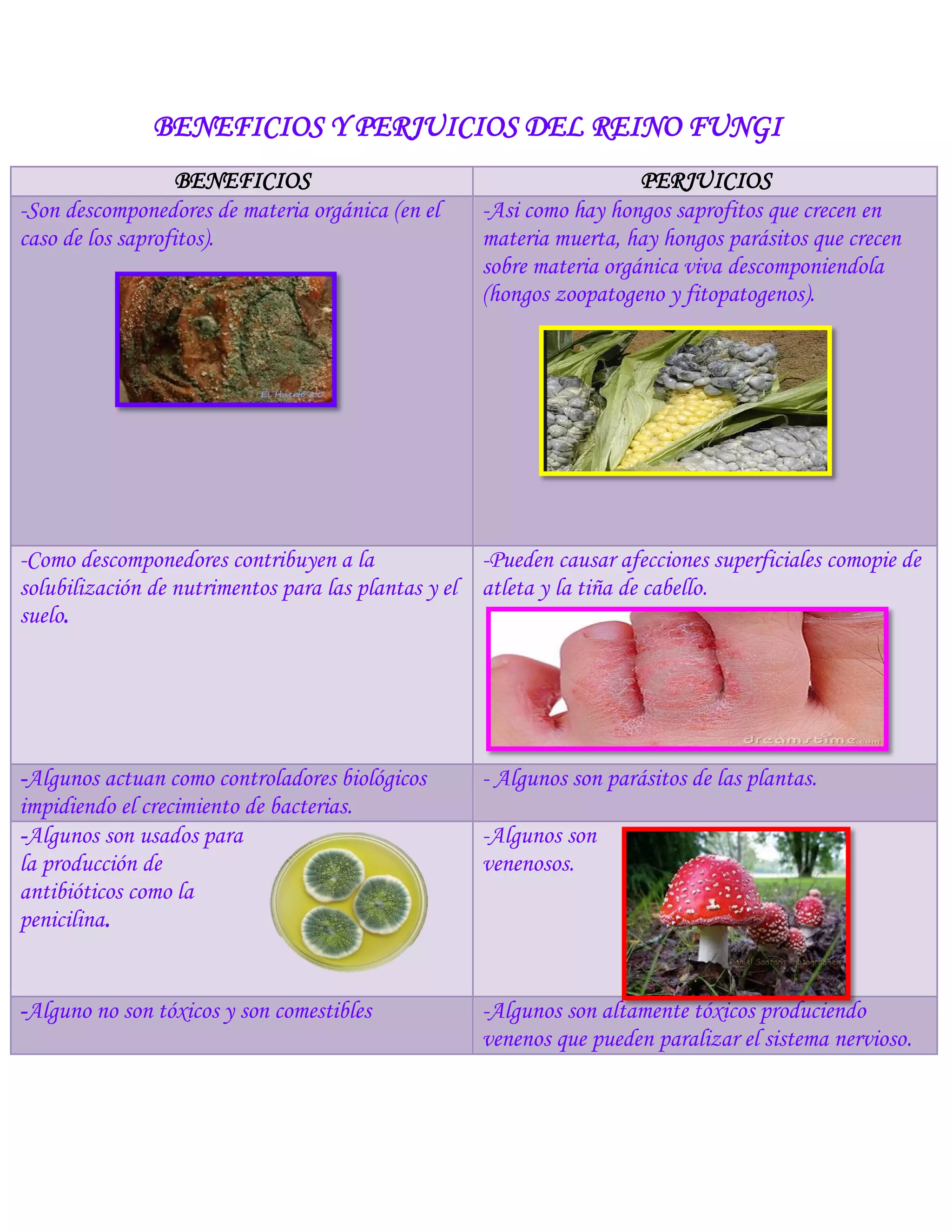 Beneficios y perjuicios del Reino Fungi | PDF
