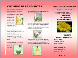 Beneficio y cuidado de las plantas en el medio ambiente c.e.b.g. el perú