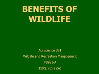 BENEFITS OF WILDLIFE Agriscience 381 Wildlife and Recreation Management #8981-A TEKS: (c)(2)(A) 