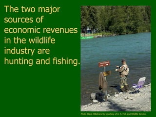 Wildlife visual data 5