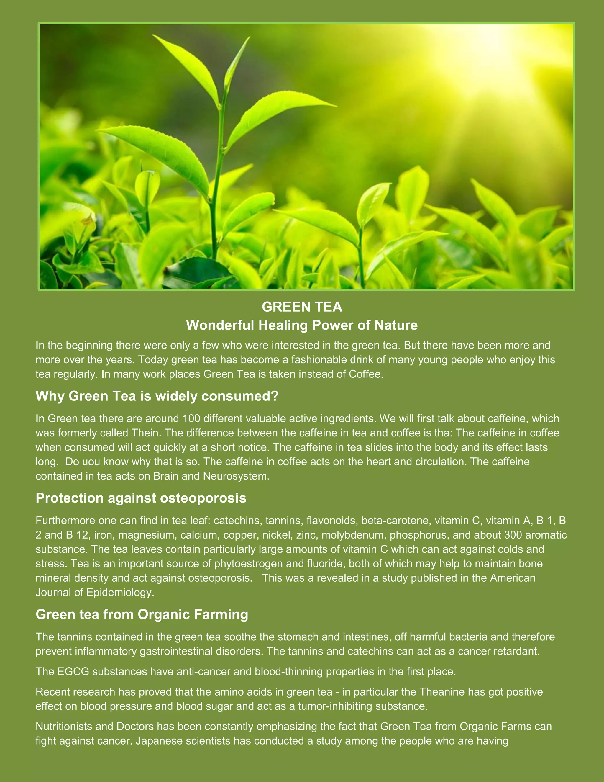 Benefits of Green Tea | PDF