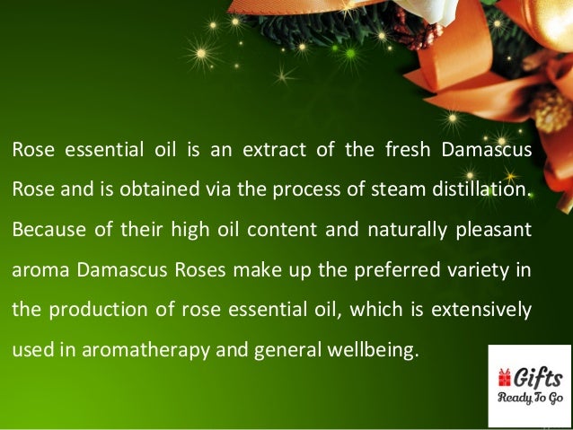 Benefits And Uses Of Rose Essential Oil