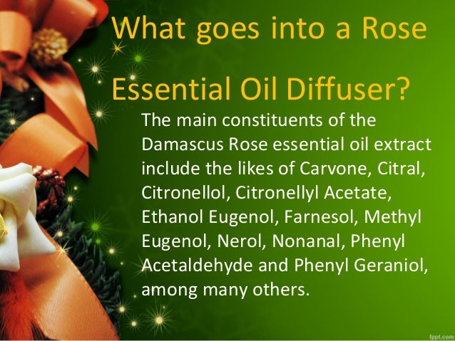 Benefits And Uses Of Rose Essential Oil