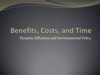 Dynamic Efficiency and Environmental Policy
 