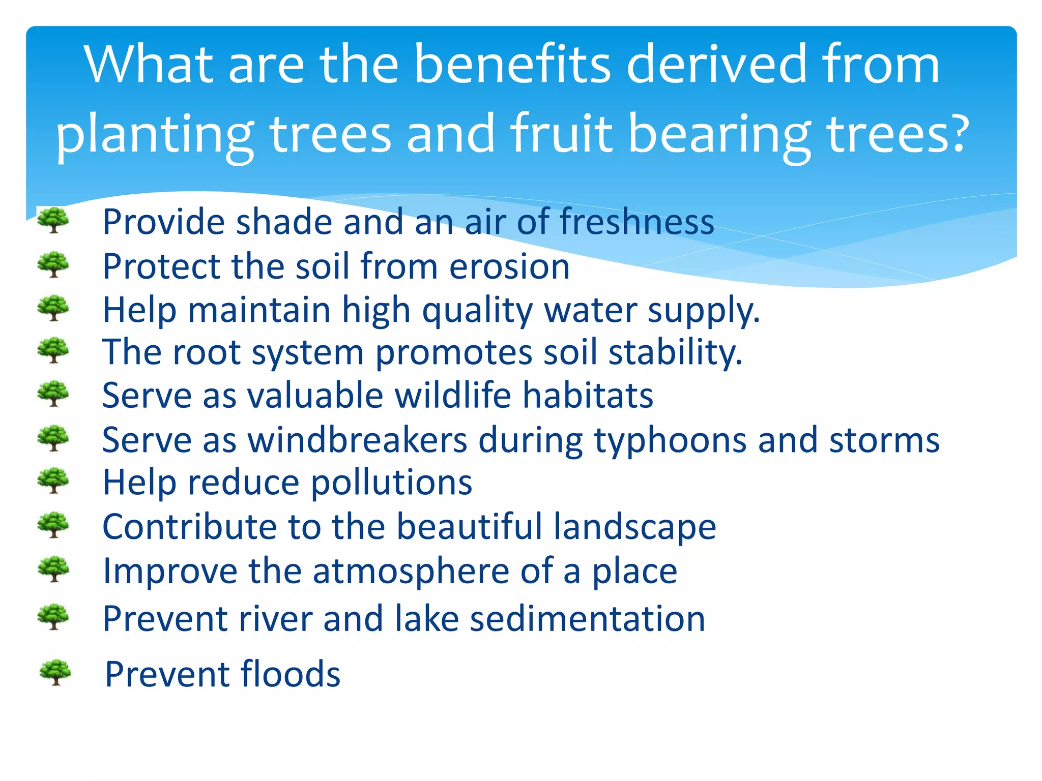 Tree Menifids Benefits derived from planting tress and fruit bearing | PPTX