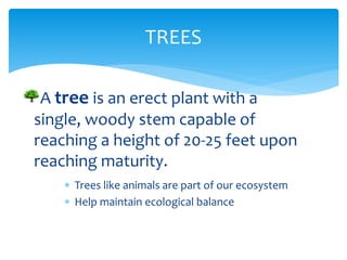 Benefits derived from planting tress and fruit bearing | PPTX