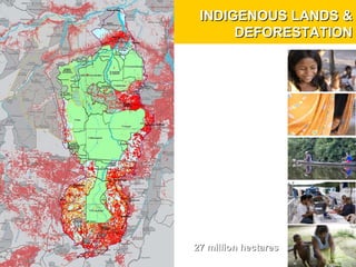 INDIGENOUS LANDS & DEFORESTATION 27 million hectares  