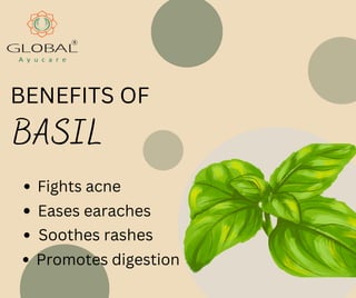 BENEFITS OF
BASIL
Fights acne
Eases earaches
Soothes rashes
Promotes digestion
 