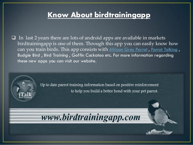 Image Result For Parrot Talking Training App Image Result For Parrot Talking Training App
