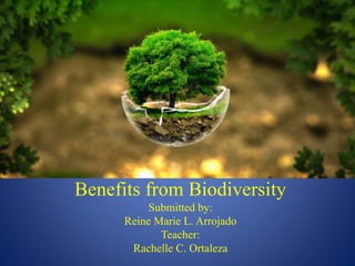 Benefits from Biodiversity
Submitted by:
Reine Marie L. Arrojado
Teacher:
Rachelle C. Ortaleza
 