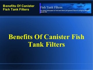 Benefits Of Canister
Fish Tank Filters
Benefits Of Canister Fish
Tank Filters
 