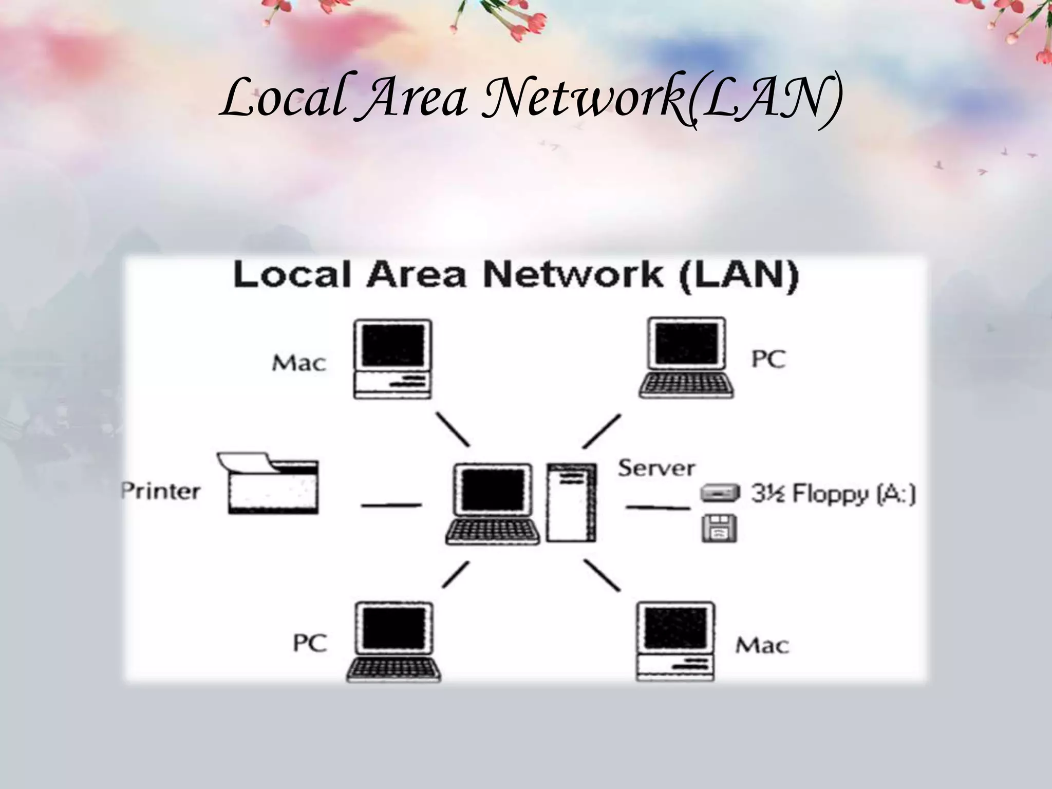 Local Area Network(LAN)
 