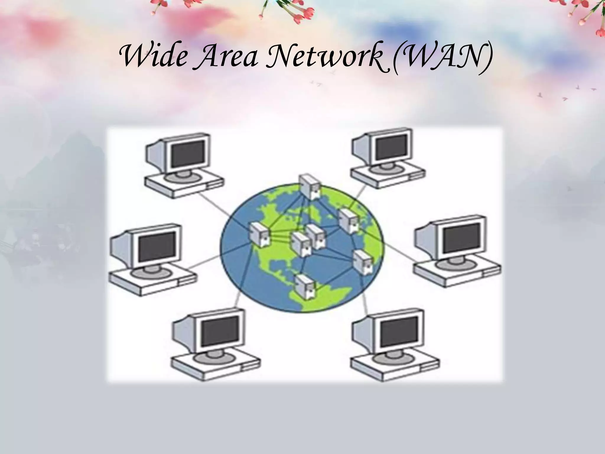 Wide Area Network (WAN)
 