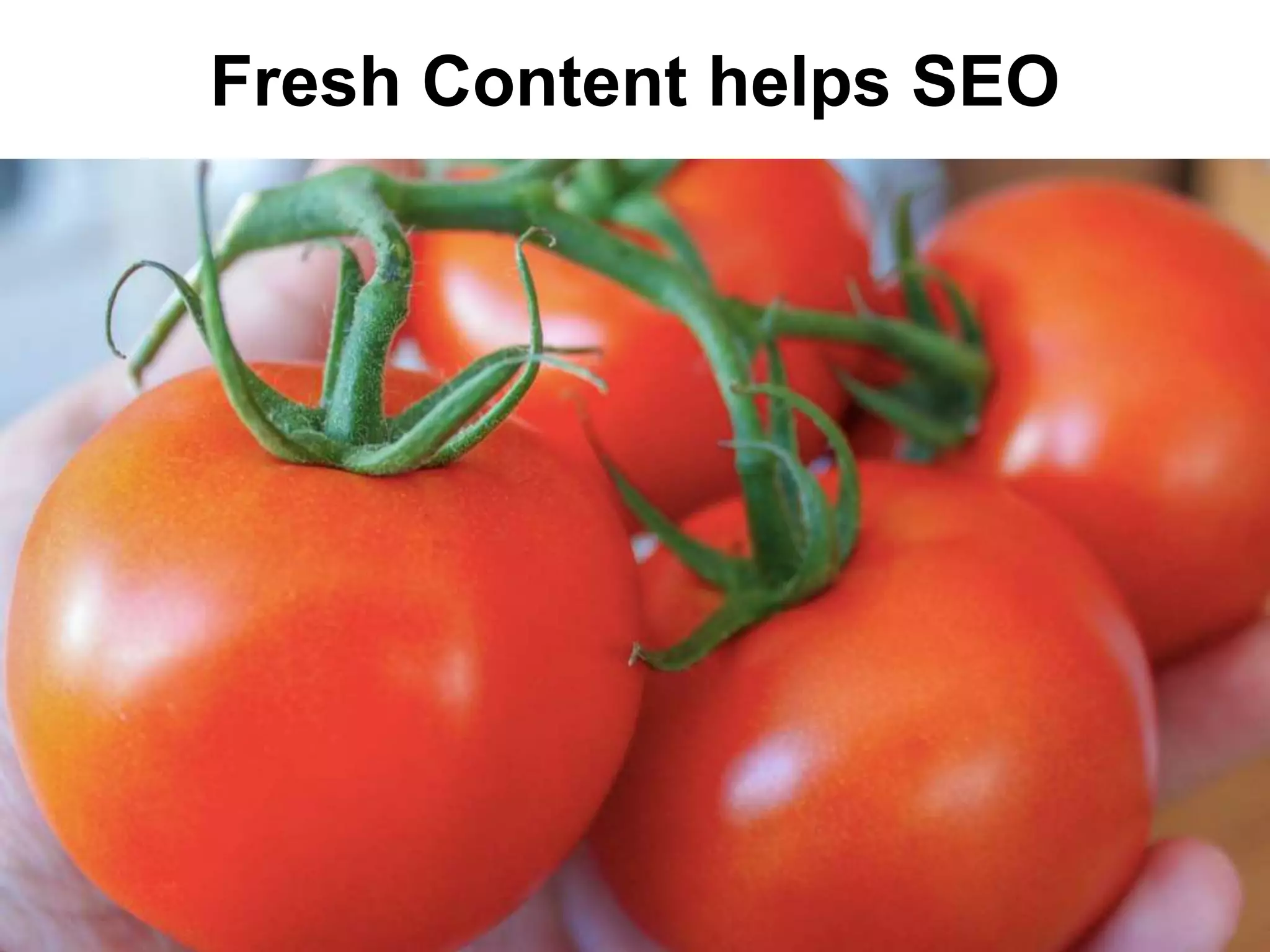 Fresh Content helps SEO
 