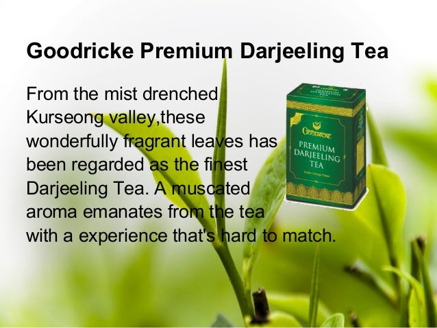 Darjeeling tea gi tag image
