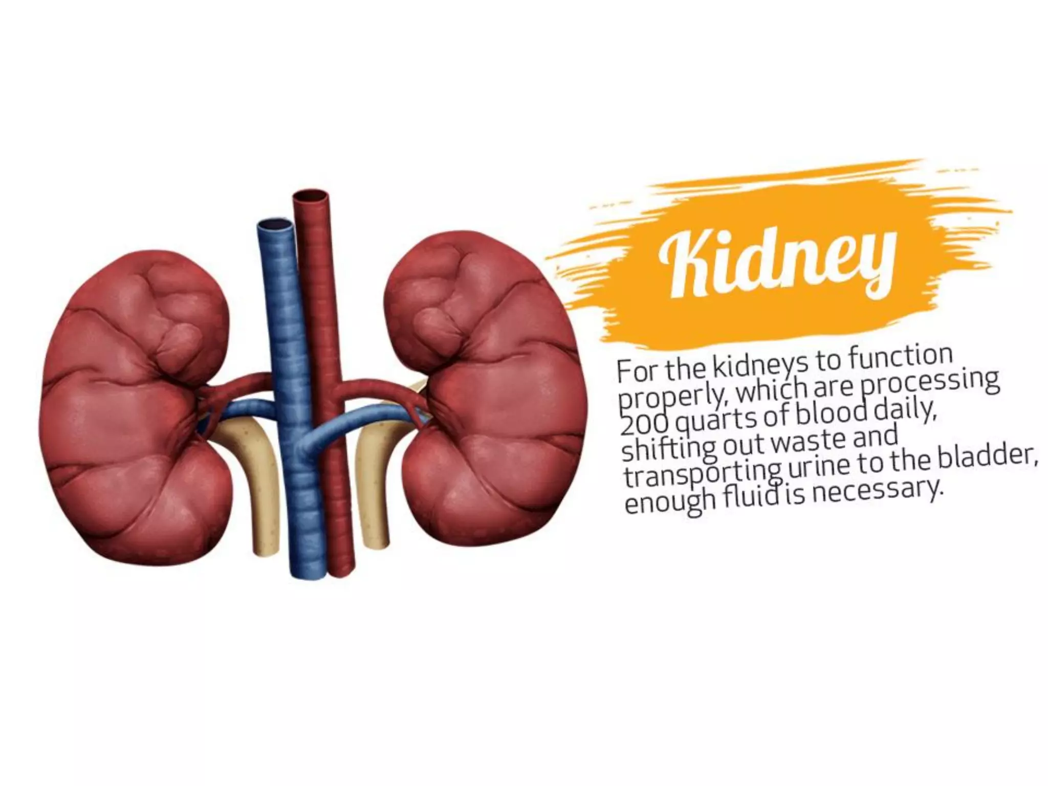 Benefits of drinking water