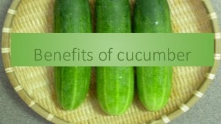 Benefits of cucumber
 