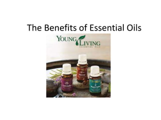 The Benefits of Essential Oils
 