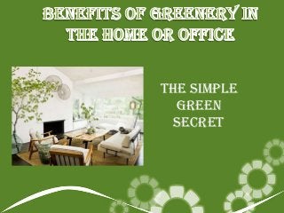 The Simple
  Green
  secret
 