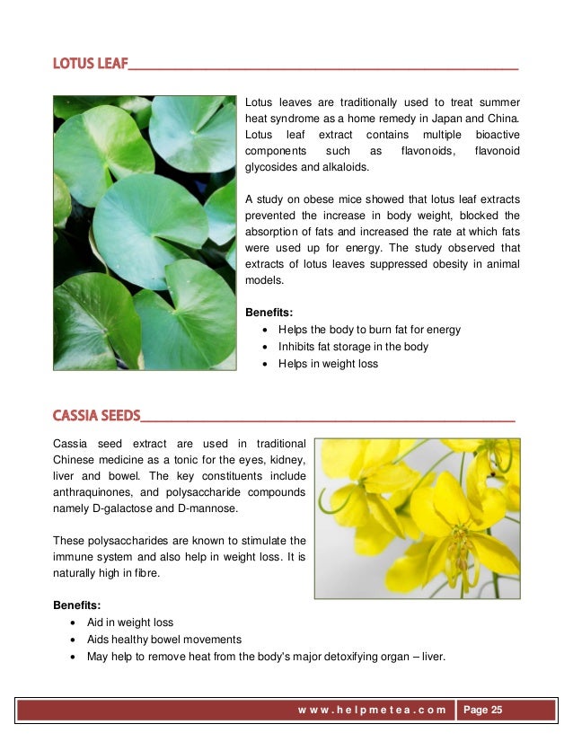 Lotus leaf powder weight loss