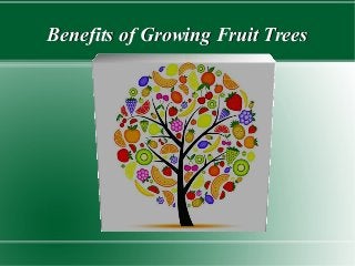 Benefits of Growing Fruit TreesBenefits of Growing Fruit Trees
 